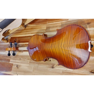Đàn violin V-01