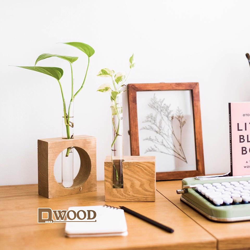 Đế gỗ Dwood đựng ống nghiệm trồng cây và trang trí M1