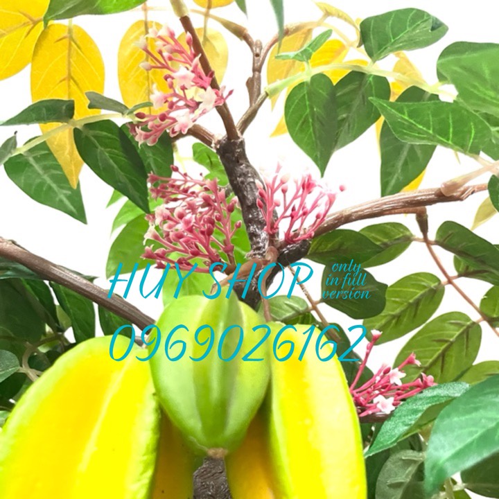 Hoa trái giả - Chậu cây trái KHẾ nhân tạo trang trí nhà