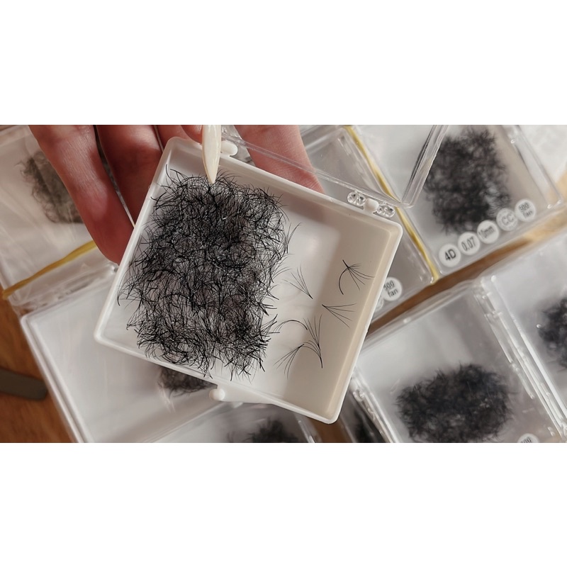 Mi Fan 4D cong C CC D độ dài từ 8 đến 16 hộp 1000Fan