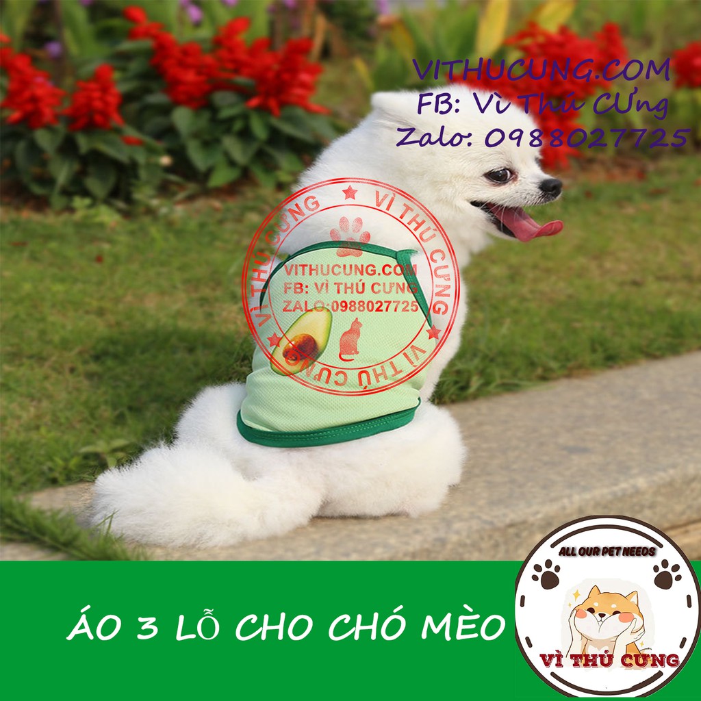 Áo 3 lỗ cho chó mèo