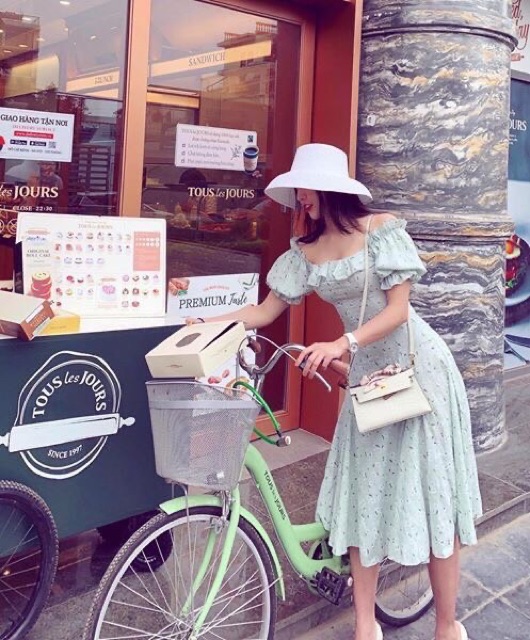 ĐẦM BÈO VAI 3 MÀU