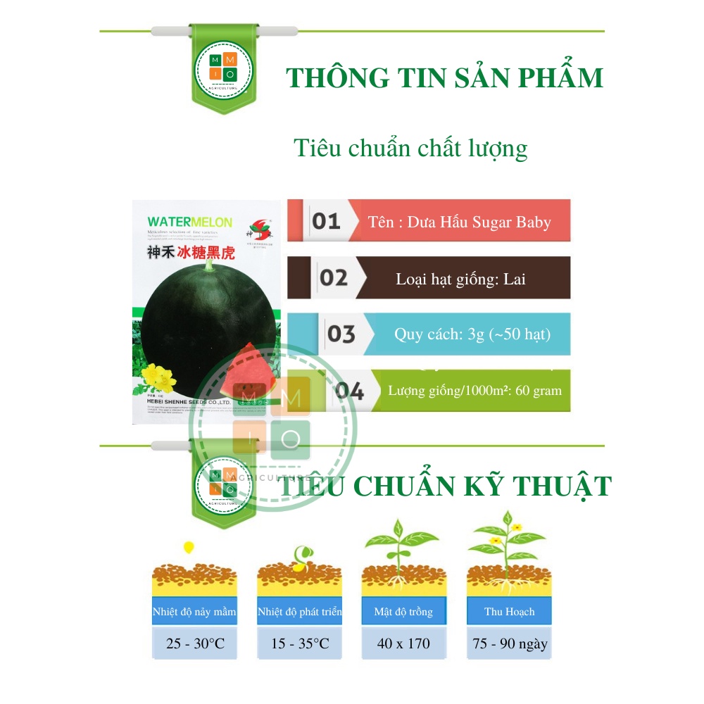 Hạt giống dưa hấu sugar baby Đài Loan