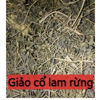 Giảo cổ lam rừng 1.5kg