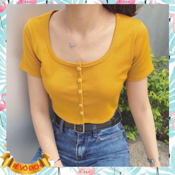 (mới) ÁO CROPTOP LEN TĂM CÚC DỌC 6 MÀU LOẠI MỚI - CROPTOP CÚC NGỰC TÍM XANH MINT HOT - mẫu mới