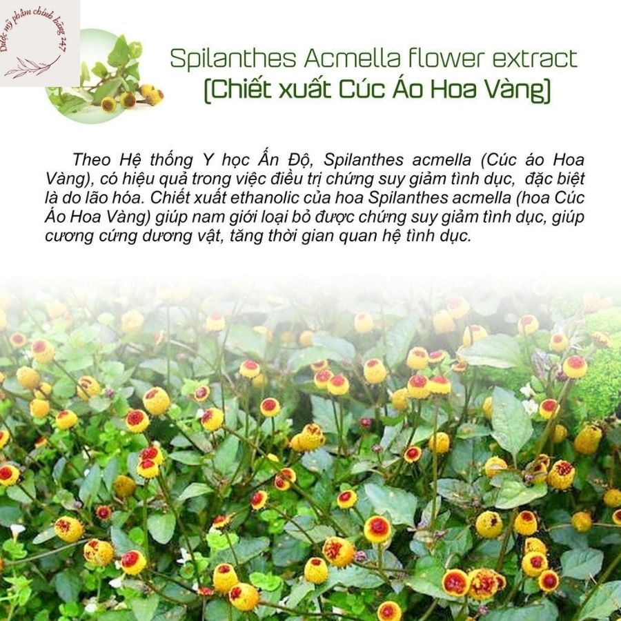 Khăn Lau Nam Giới V2JOY