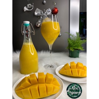 Chai thuỷ tinh lên men f2 kefir - kombucha 500ml