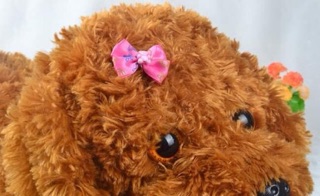 [Phụ Kiện Thú Cưng] - DÂY THUN NƠ CỘT TÓC CHO PETS