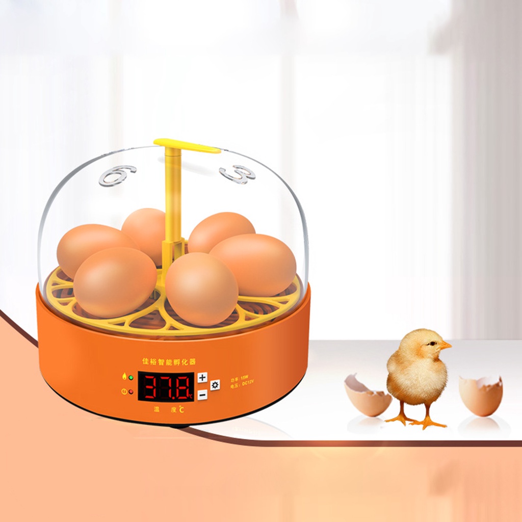 Máy ấp trứng mini tự động dành cho trẻ em