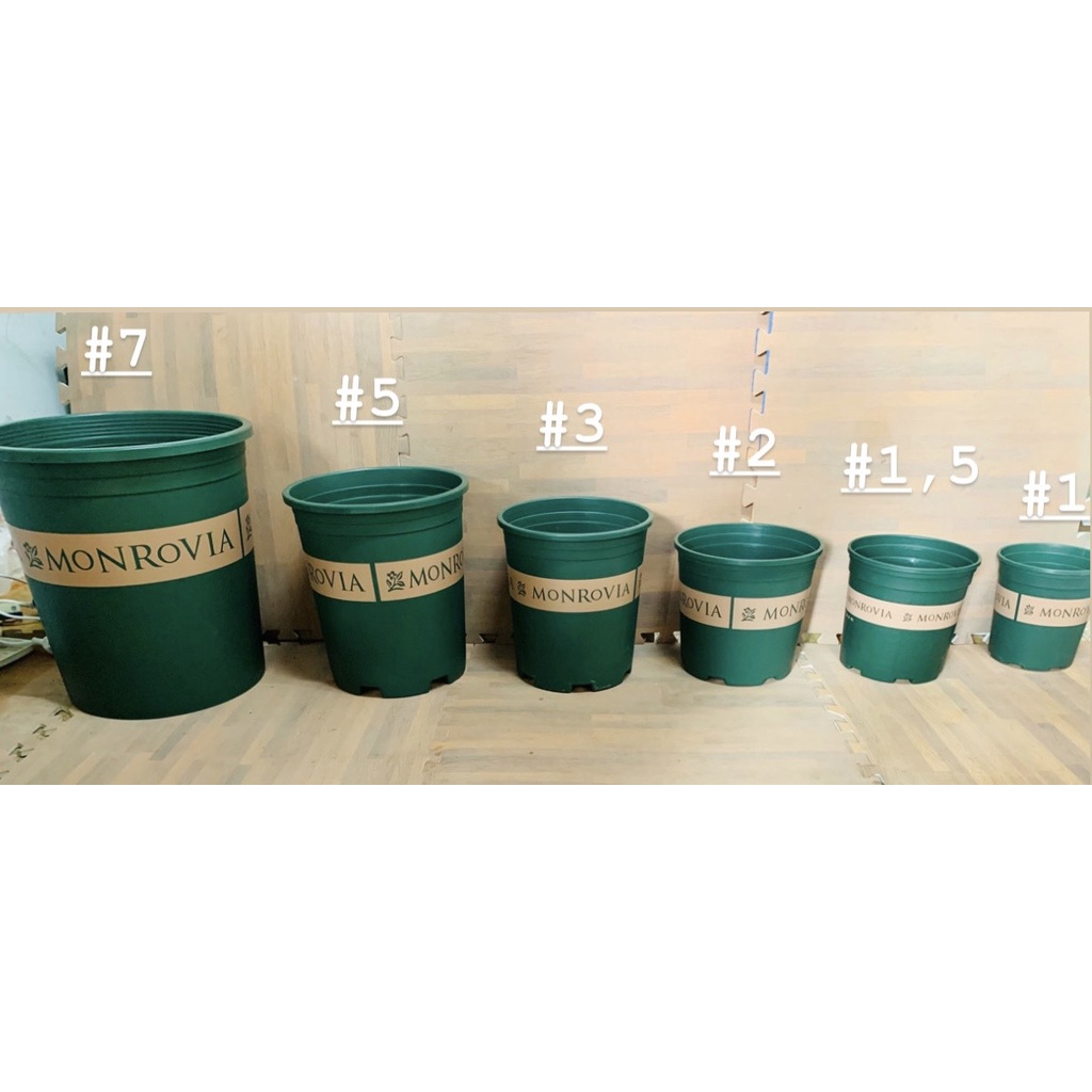 Chậu nhựa trồng cây cao cấp Monrovia Trung Quốc 5GL ( Tặng kèm đĩa lót )