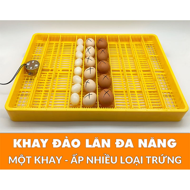 Máy ấp trứng ánh dương P100 + khay đảo lăn 55-60 trứng