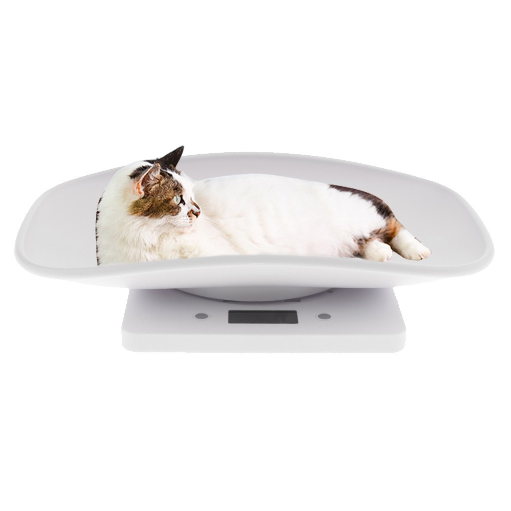 Cân Điện Tử Đa Năng Chính Xác 10Kg Cho Thú Cưng