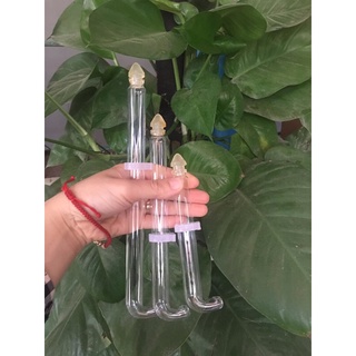 Hút nước thuỷ tinh cho khuyên mào choè