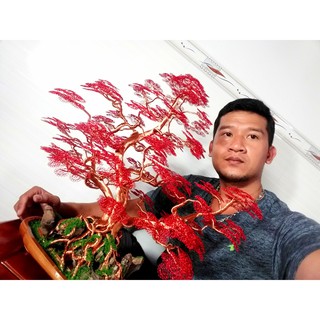Dây Nhôm Màu