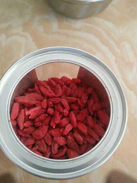 KỶ TỬ NINH HẠ SẠCH - TO - NGON