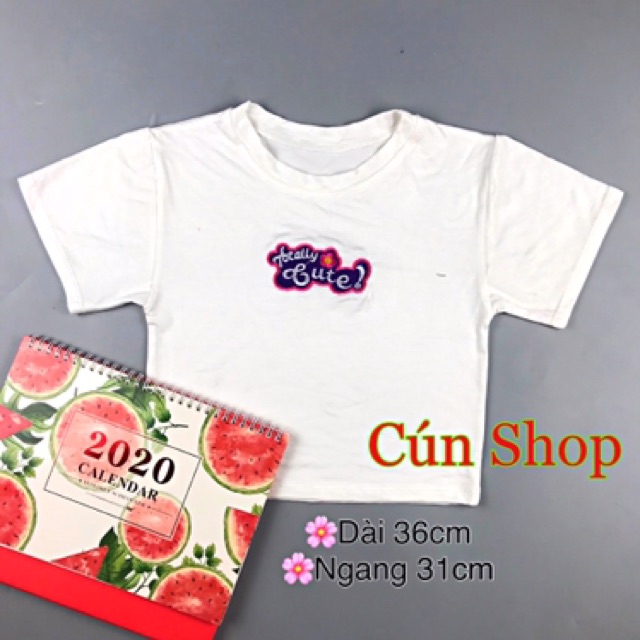 Áo croptop thêu chữ 3 màu hot hit trên mạng RICH STORE CRT07 !