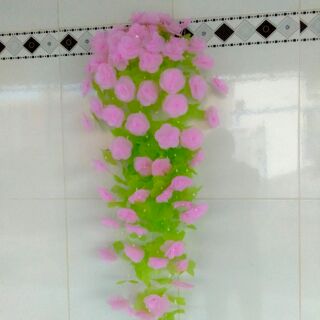 Hoa treo tuong