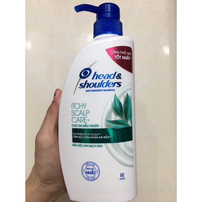 Dầu gội Head & Shoulders Ichy Scalp Care Giảm Ngứa Da Đầu