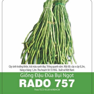 Hạt giống đậu đũa ngọt lùn rado 757 rạng đông | vtnn cần thơ