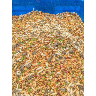 Thức ăn hạt cơ bản cho hamster/Ngũ cốc cho hamter/thức ăn hạt cho hamter
