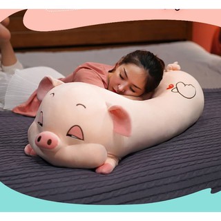 gấu bông heo mắt híp siêu xinh cỡ lớn 100cm