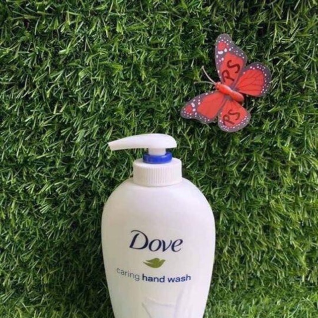 NƯỚC RỬA TAY DOVE ĐỨC 250ML
