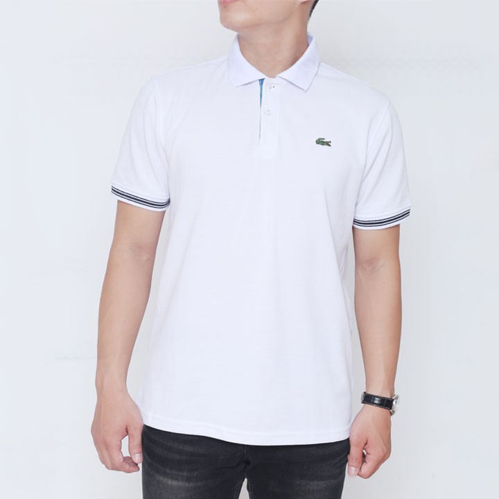 Áo Thun Nam Tay Lỡ Cổ Bẻ Chất Vải 100% Cotton Lạnh, form áo vừa vặn, áo polo nam cao cấp | BigBuy360 - bigbuy360.vn