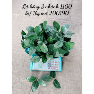 lá hồng các loại