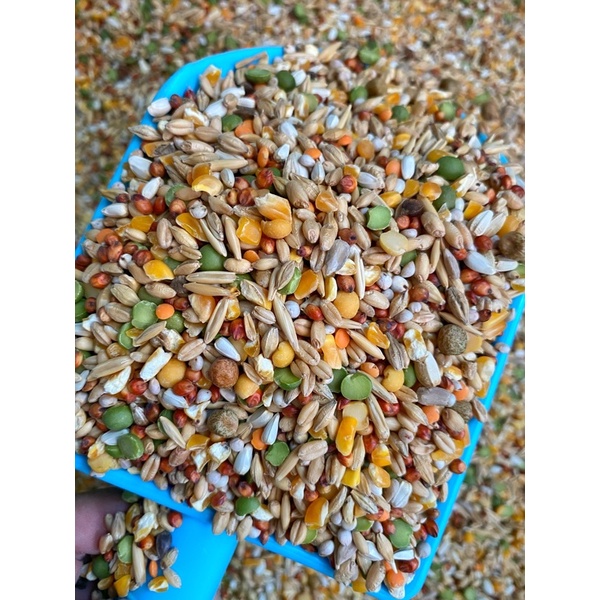 Ngũ Cốc Chiến Kê dành cho gà đá  - Pet Food Store.