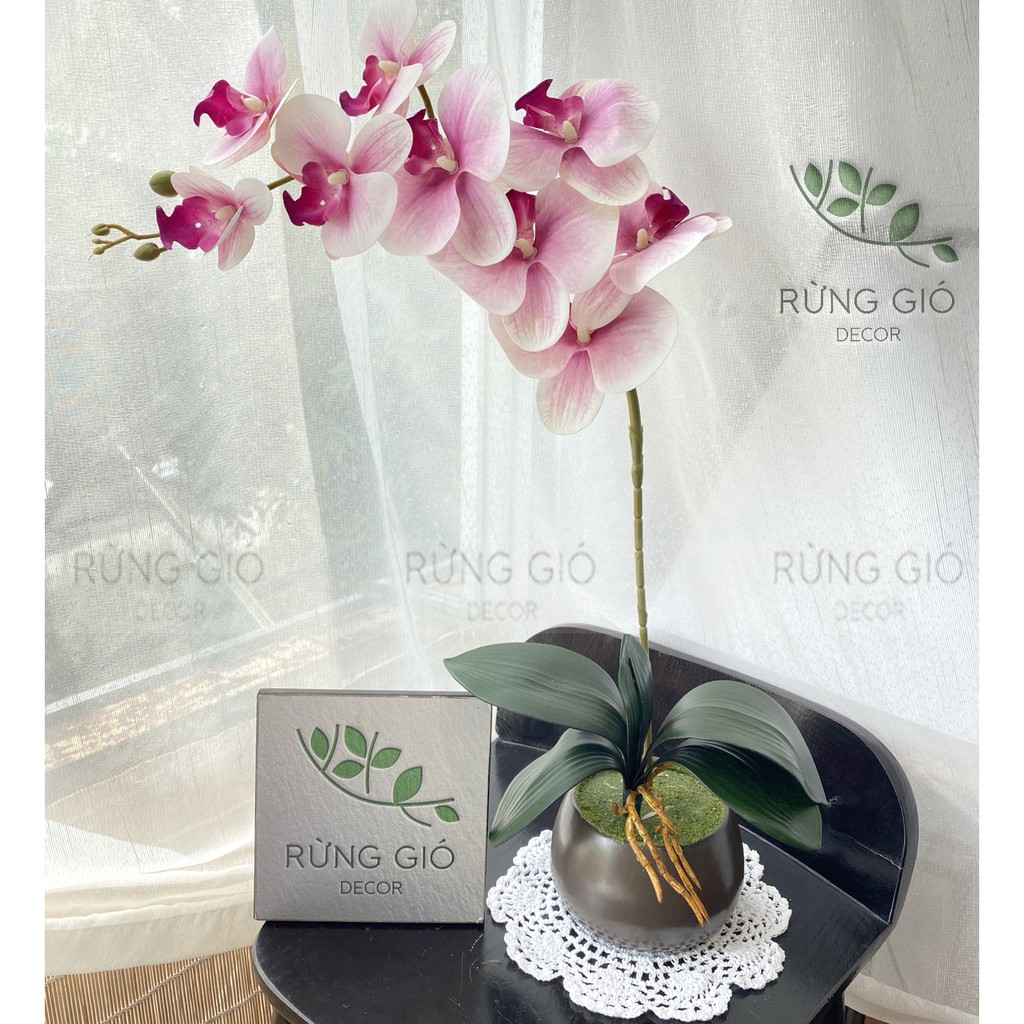 Set Chậu Lan Hồ Điệp (gồm cả chậu sứ + 1 cành hoa 9 bông to), hoa lan cao su cao cấp mã Sét 10