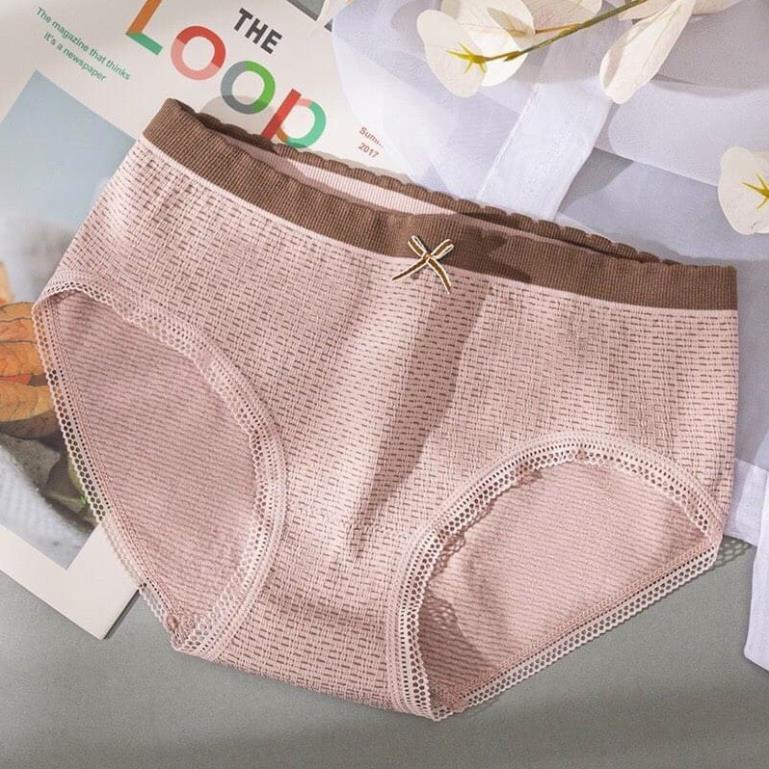 Quần lót nữ Cotton thông hơi viền nâu nơ co giãn 4 chiều 3313  - LADY