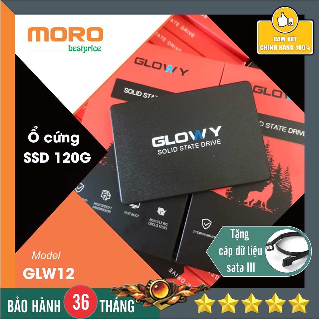 [Mã 255ELSALE giảm 7% đơn 300K] Ổ cứng SSD GLowy 120G - Sản phẩm chính hãng - Bảo hành 3 năm !!!