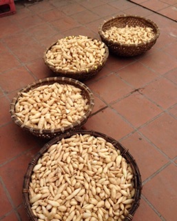 Bột hoàng thanh