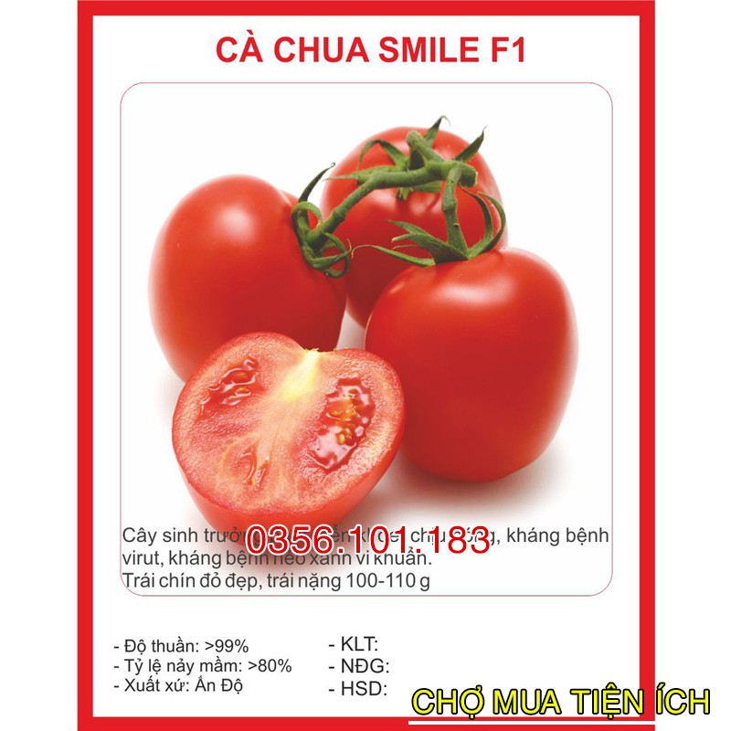 Hạt Giống Cà Chua Siêu Quả Chịu Nhiệt Smile 30 Hạt nhanh Thu Hoạch
