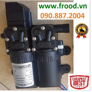 Bơm cao áp đôi 12v tự động + nguồn 12v