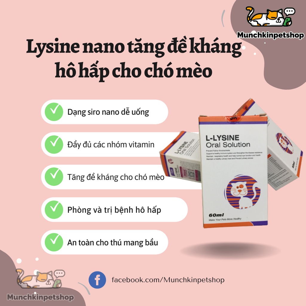Lysine nano dạng lỏng cho chó mèo