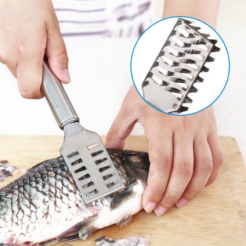 Dụng cụ cạo vảy cá inox, cạo vảy cá tiện dụng