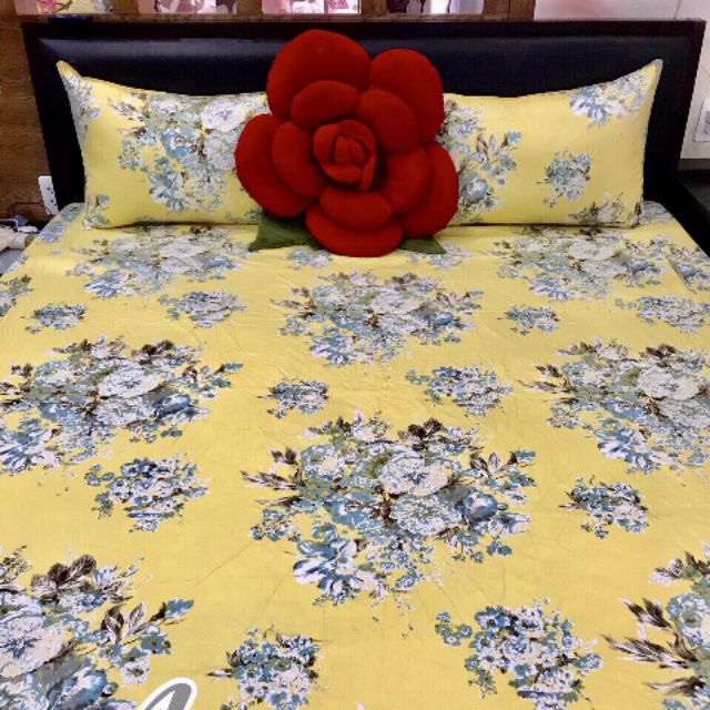 BỘ DRAP 100% COTTON VN