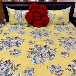 BỘ DRAP 100% COTTON VN