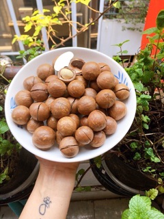 Macca đắc lắc 500gr