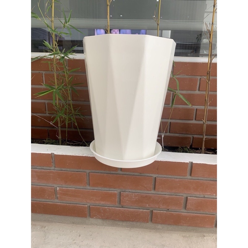 combo 4 chậu kim cương đại kích thước 30x40cm
