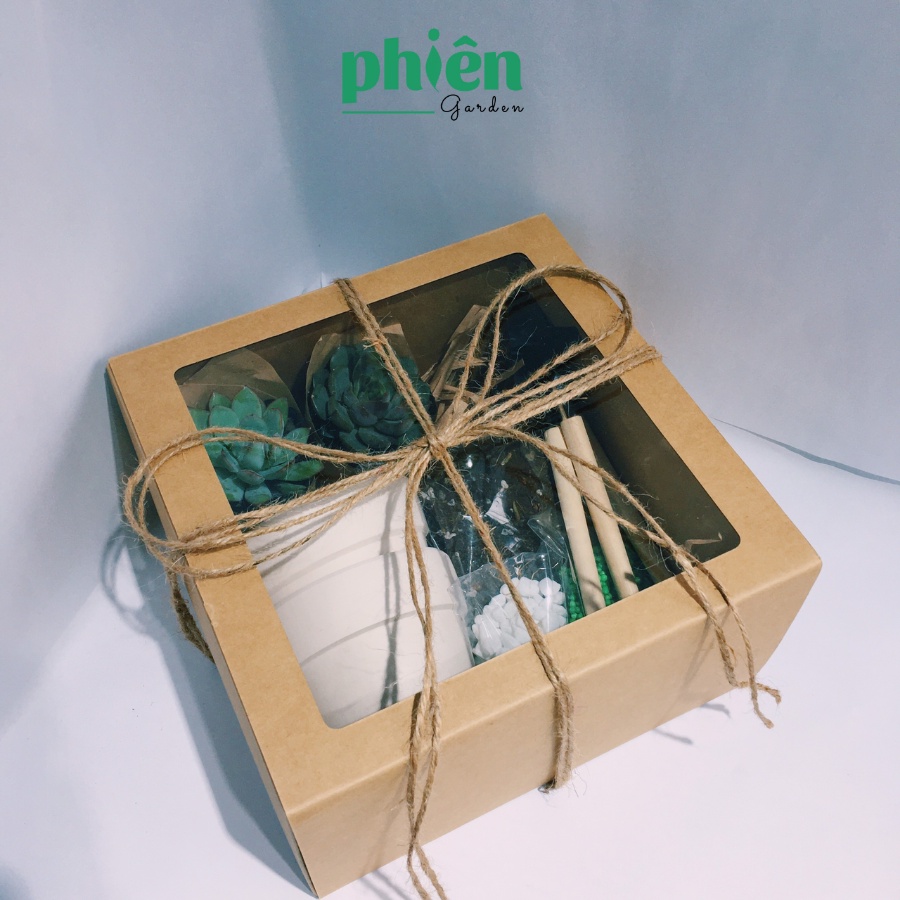 Hộp quà tặng sen đá Gardening Box, Gift Set tự tay trồng sen đá, quà tặng sinh nhật
