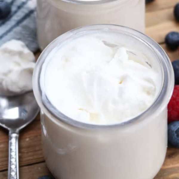 Men Sữa Viili Tươi - VIILI YOGURT STARTER - ORGANIC BA VÌ. Mua một lần dùng mãi mãi.