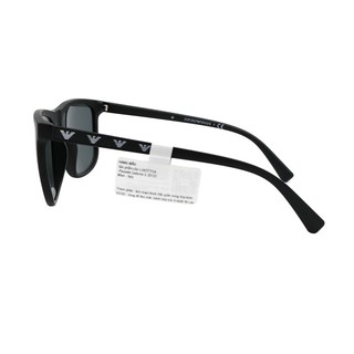 Kính mát Emporio Armani EA4124F