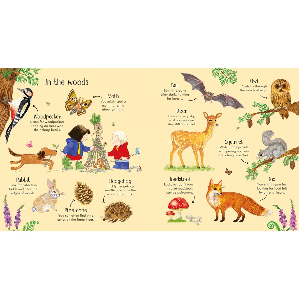 Sách Usborne - Poppy and Sam's Nature Spotting Book - học tiếng anh qua thiên nhiên