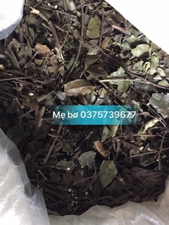 Chè vằng sẻ Nghệ An
