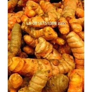 Nghệ vàng vườn nhà nghệ củ ăn,gà chọi gà nòi gà tre gà đá gà đòn
