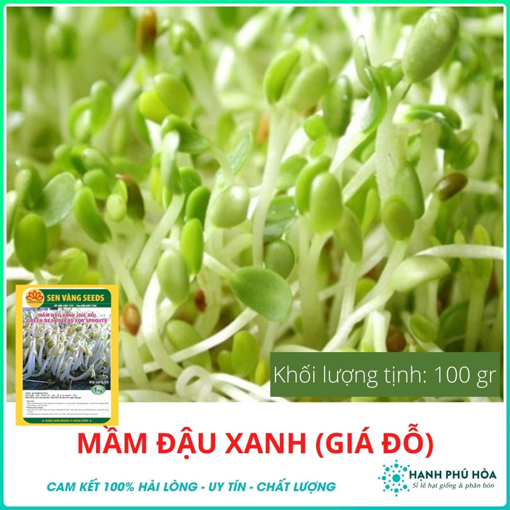 Hạt Giống Mầm Đậu Xanh (Giá Đỗ) SV 100g/gói - Kháng Bệnh Virus Rất Tốt, Giúp tăng lưu thông khí huyết +Thúc đẩy tiêu hoá