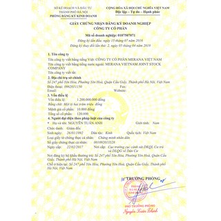 Bột Trà Xanh Handmade Mai An DIY