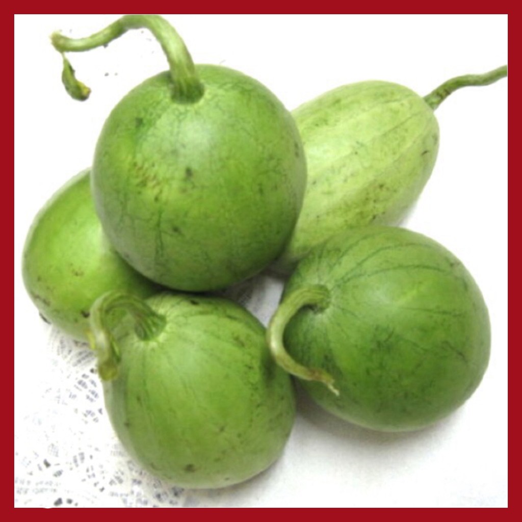 Hạt giống Dưa hấu ăn non
